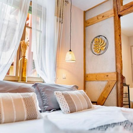 Au Petit Lion, Colmar Centre Garage Gratuit Apartment Ngoại thất bức ảnh