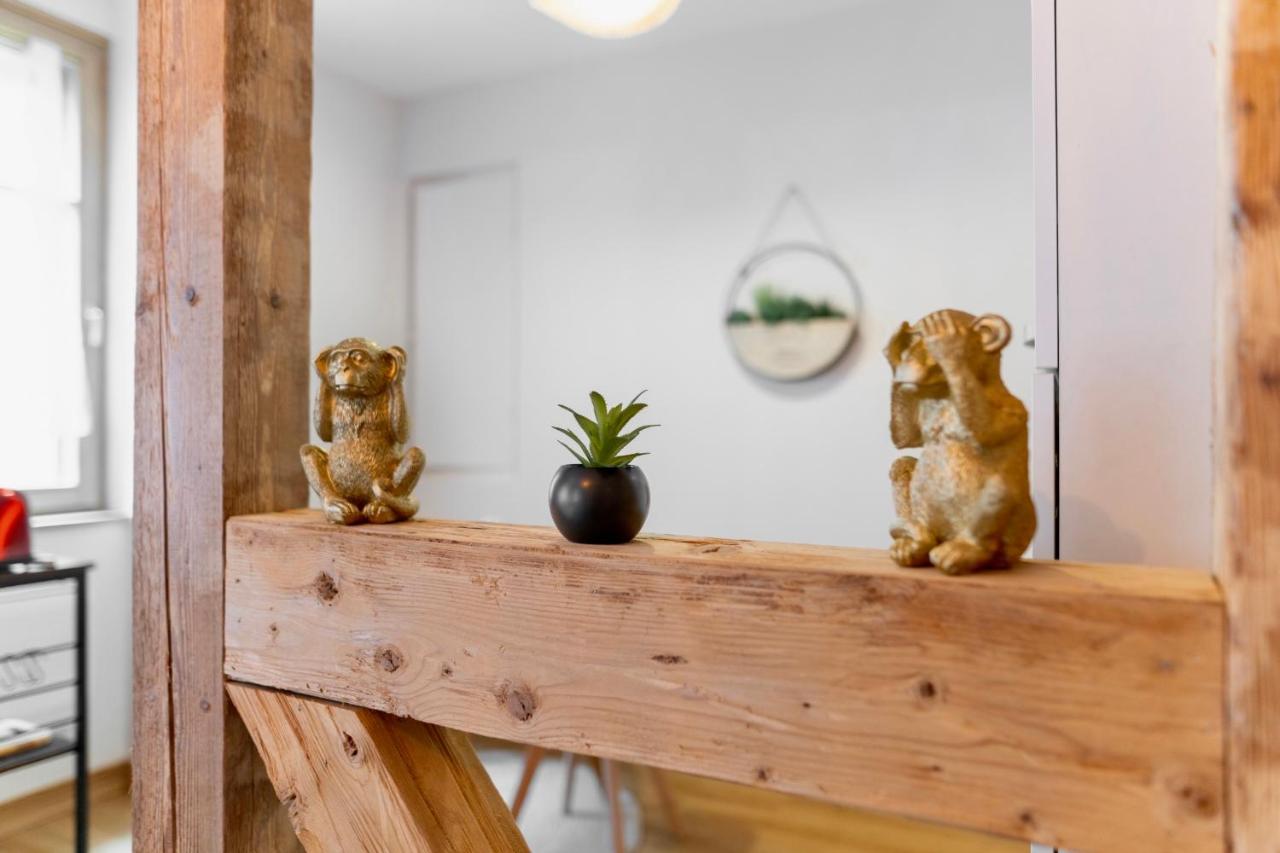 Au Petit Lion, Colmar Centre Garage Gratuit Apartment Ngoại thất bức ảnh