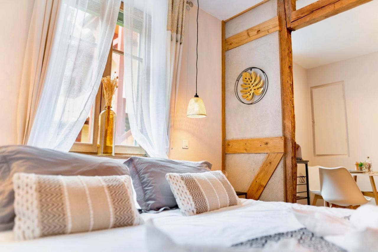 Au Petit Lion, Colmar Centre Garage Gratuit Apartment Ngoại thất bức ảnh