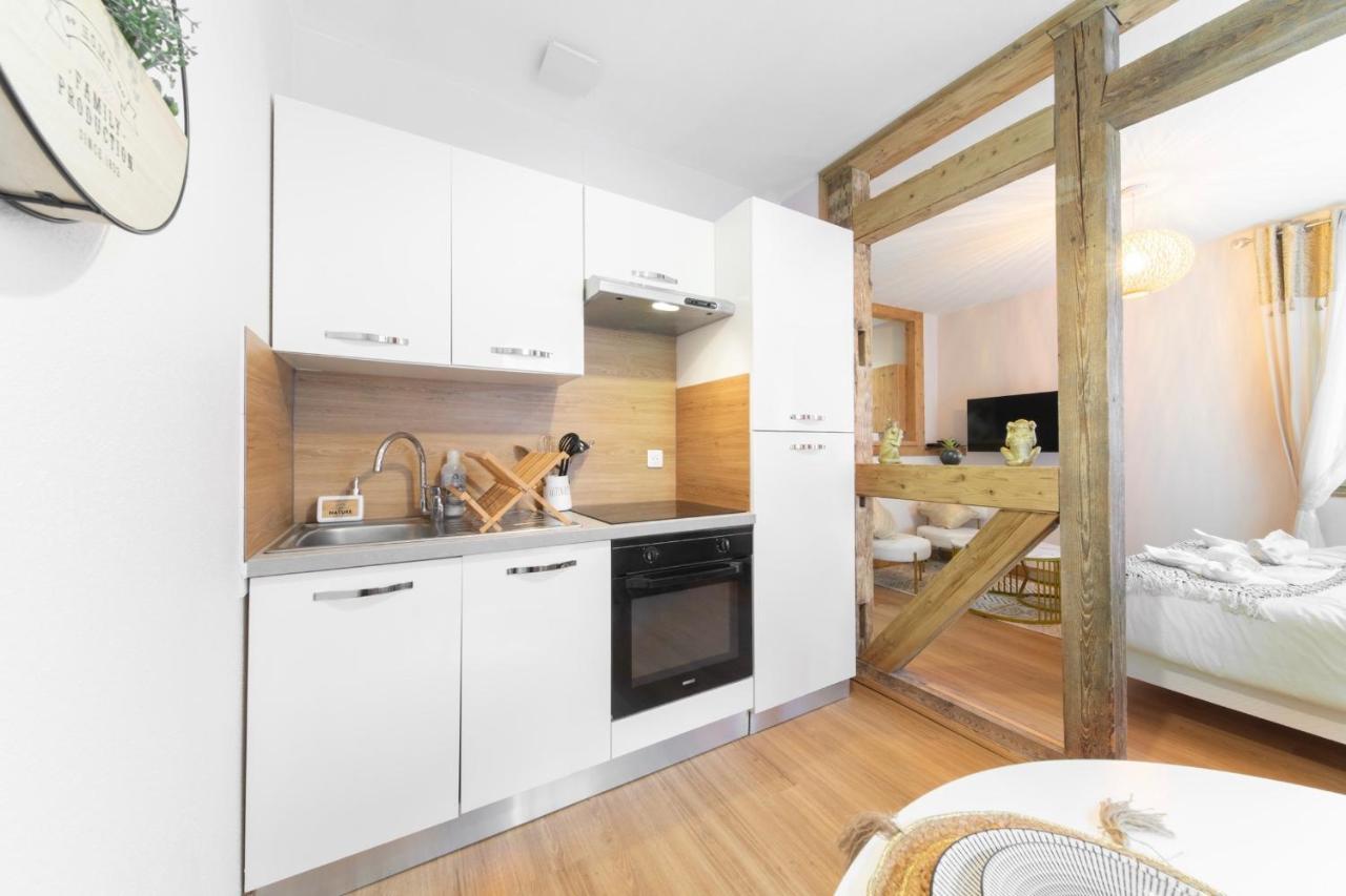 Au Petit Lion, Colmar Centre Garage Gratuit Apartment Ngoại thất bức ảnh